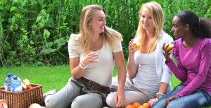 Jongeren genieten van picknick